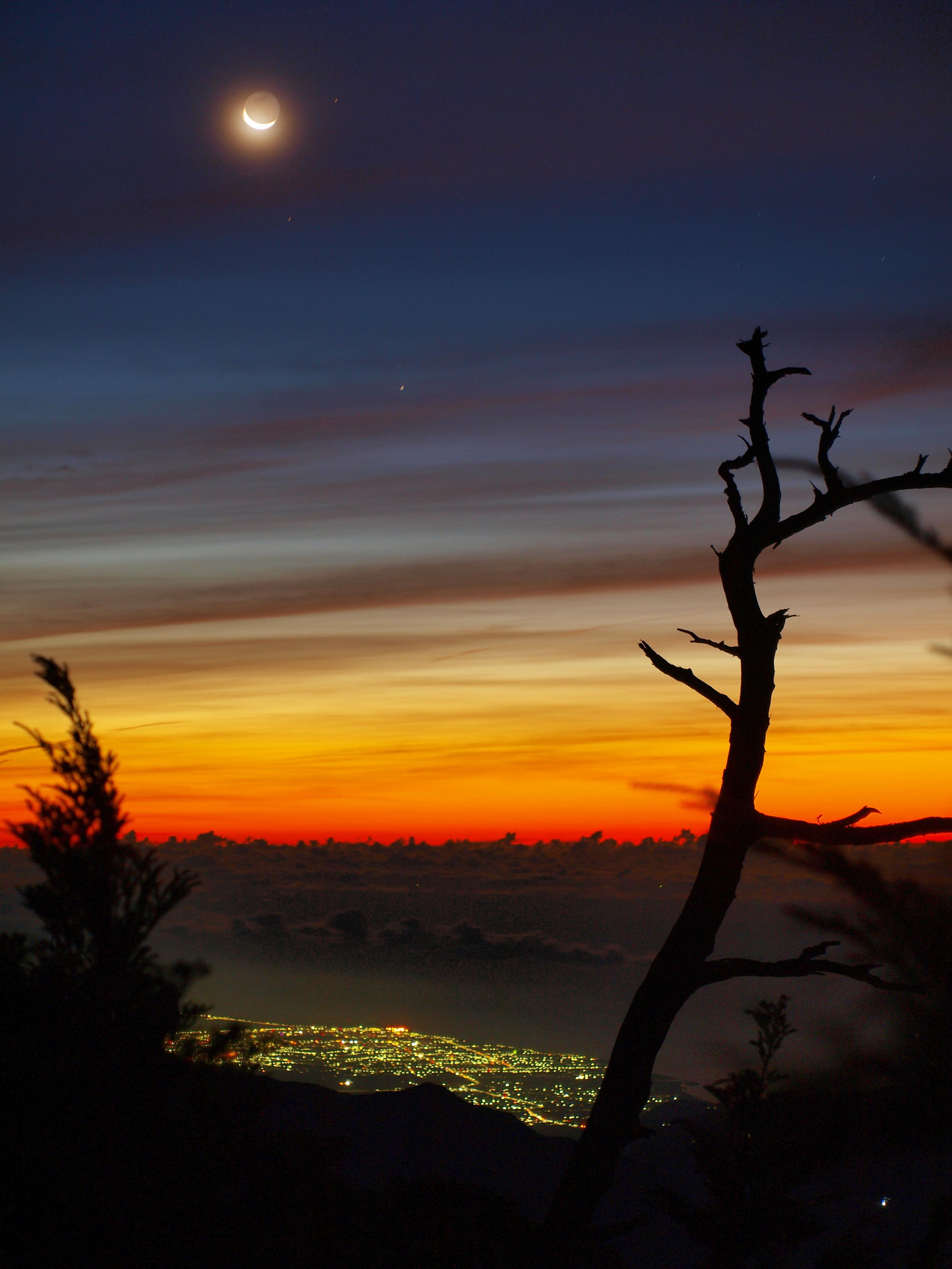 文章作者Bellamy拍的追月照